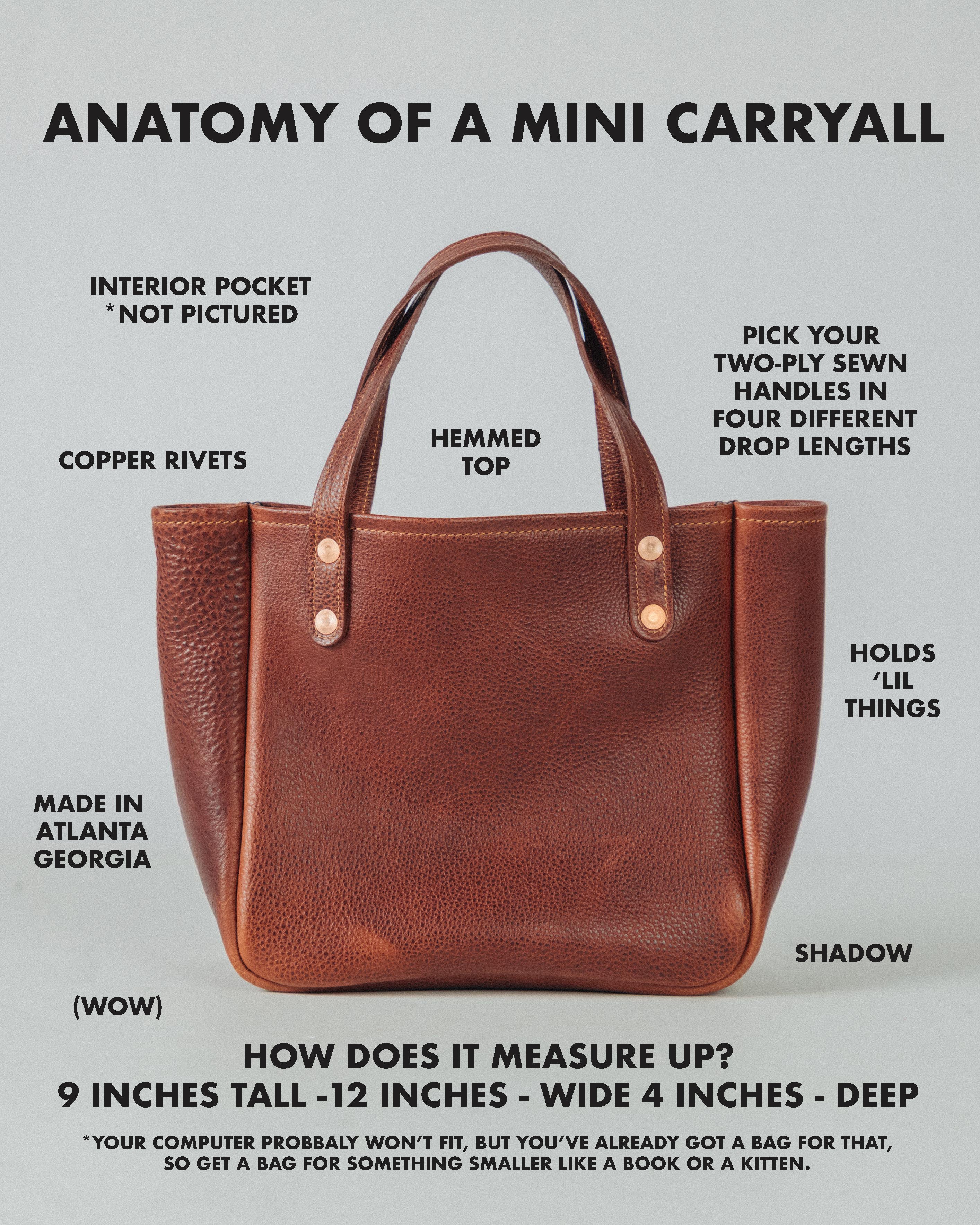 Dark Teal Bulldog Mini Carryall