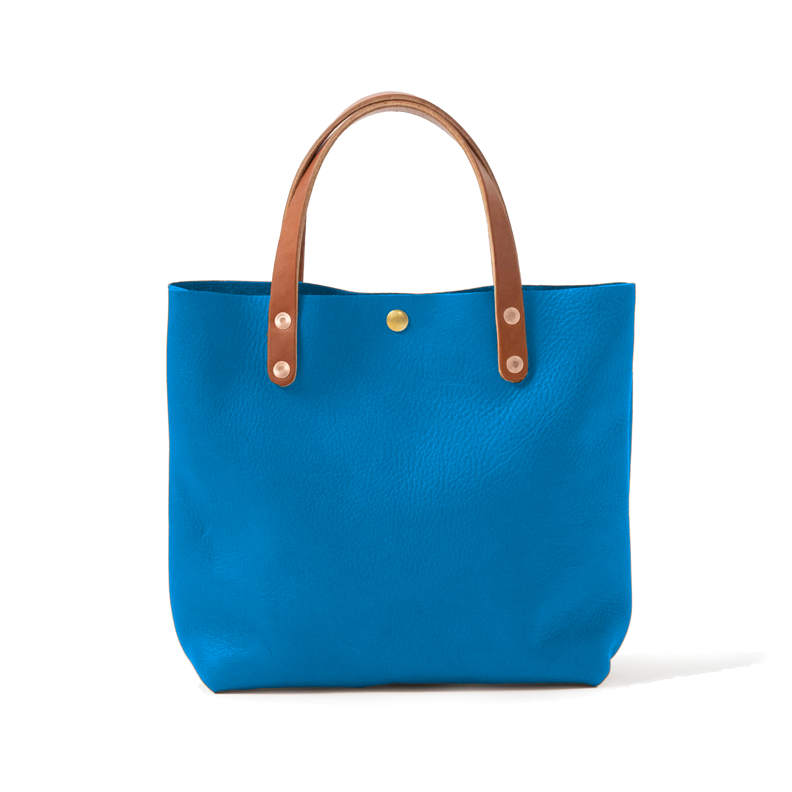 Cerulean Cypress Mini Tote