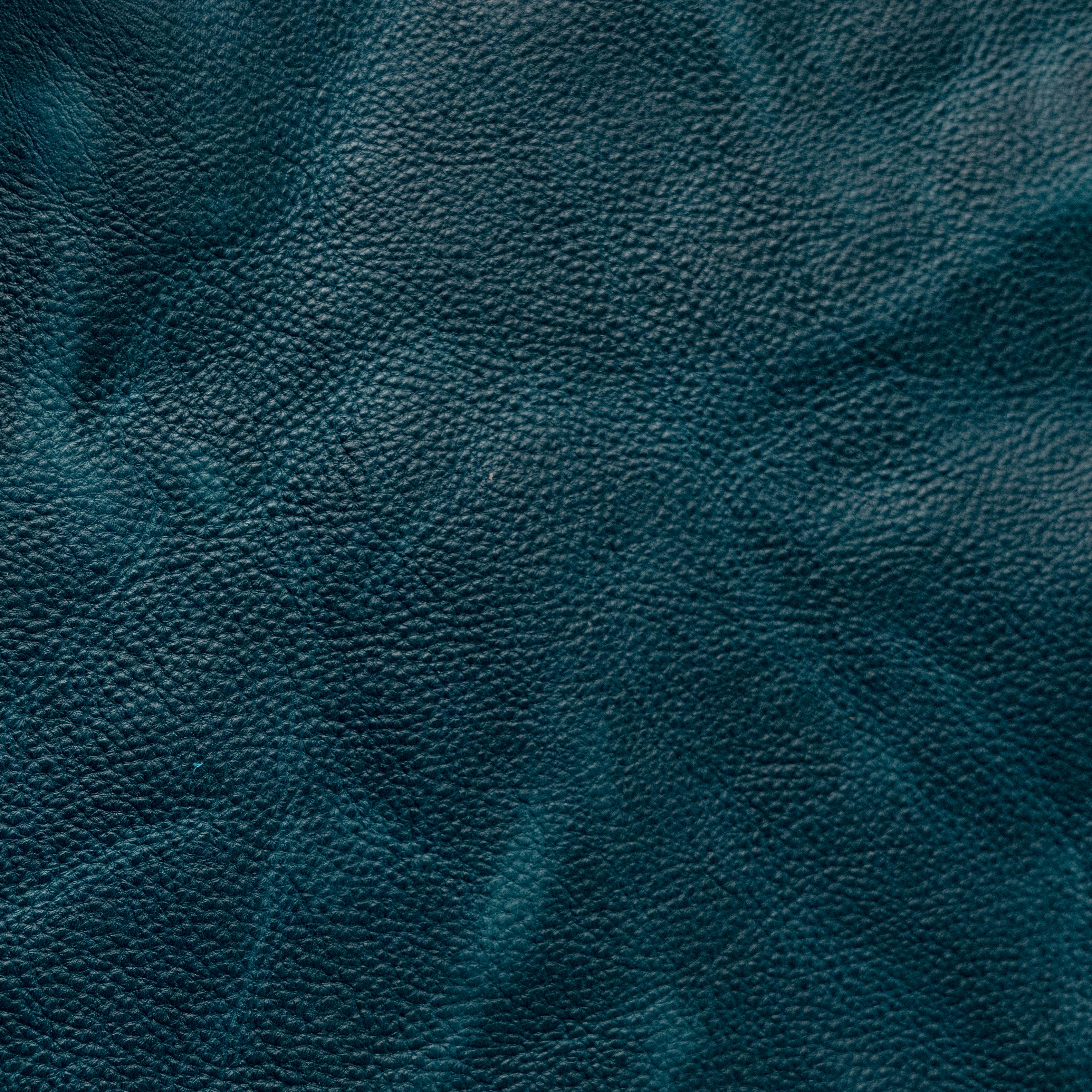 Dark Teal Bulldog Travel Tote