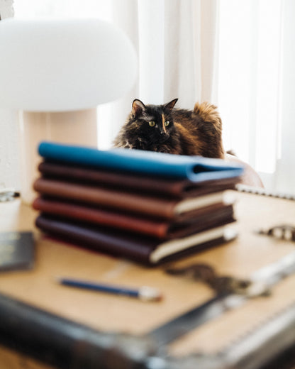 Cypress Notebook Cover