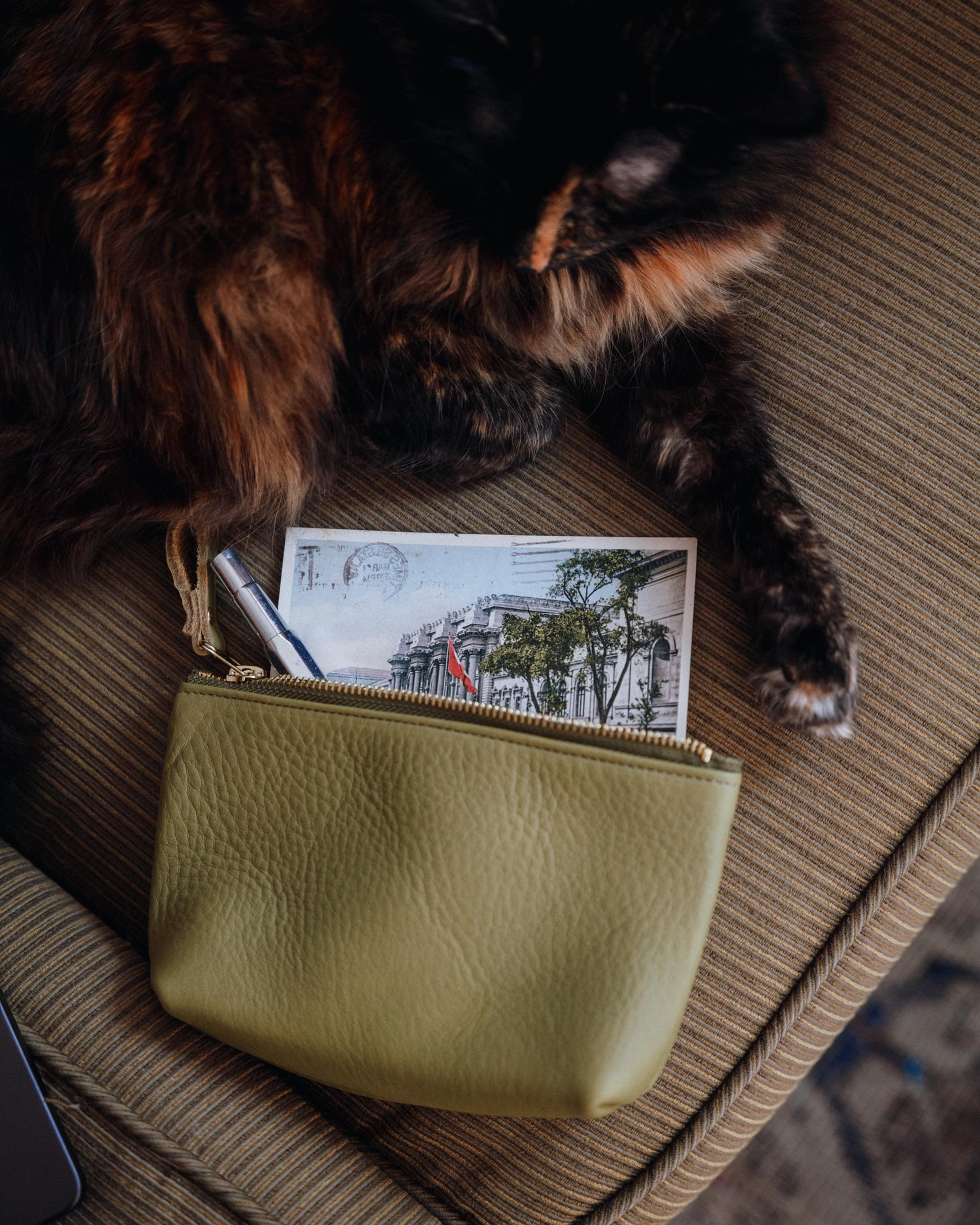 Green Bulldog Small Cosmetic Case