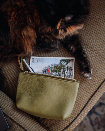 Green Bulldog Small Cosmetic Case